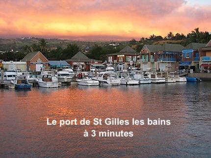 Prana Lodge Saint Gilles Les Bains 800 M De La Plage Exterior photo